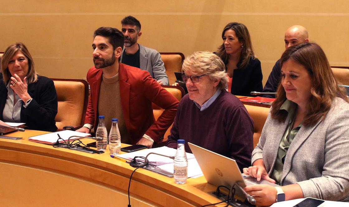 El pleno en imágenes