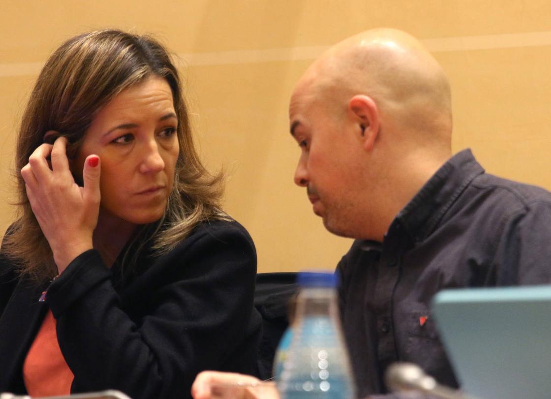 El pleno en imágenes