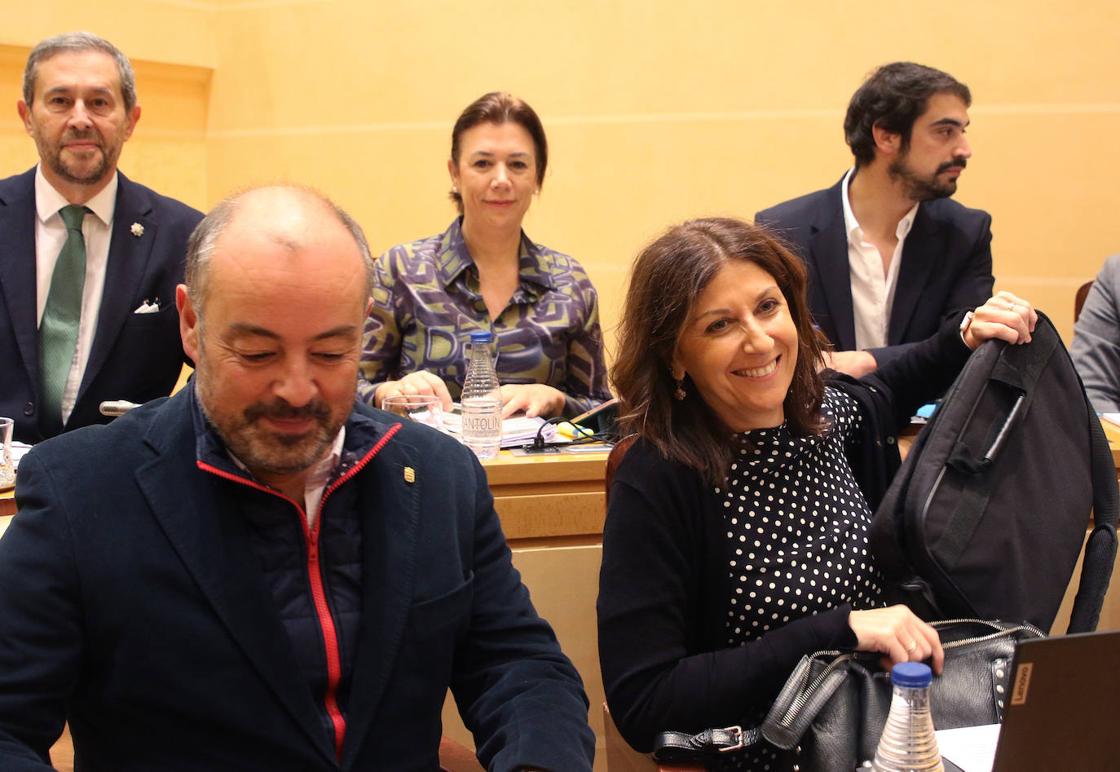 El pleno en imágenes