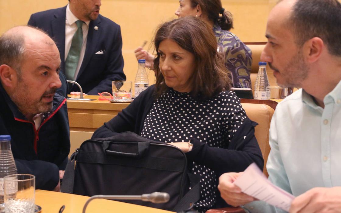 El pleno en imágenes