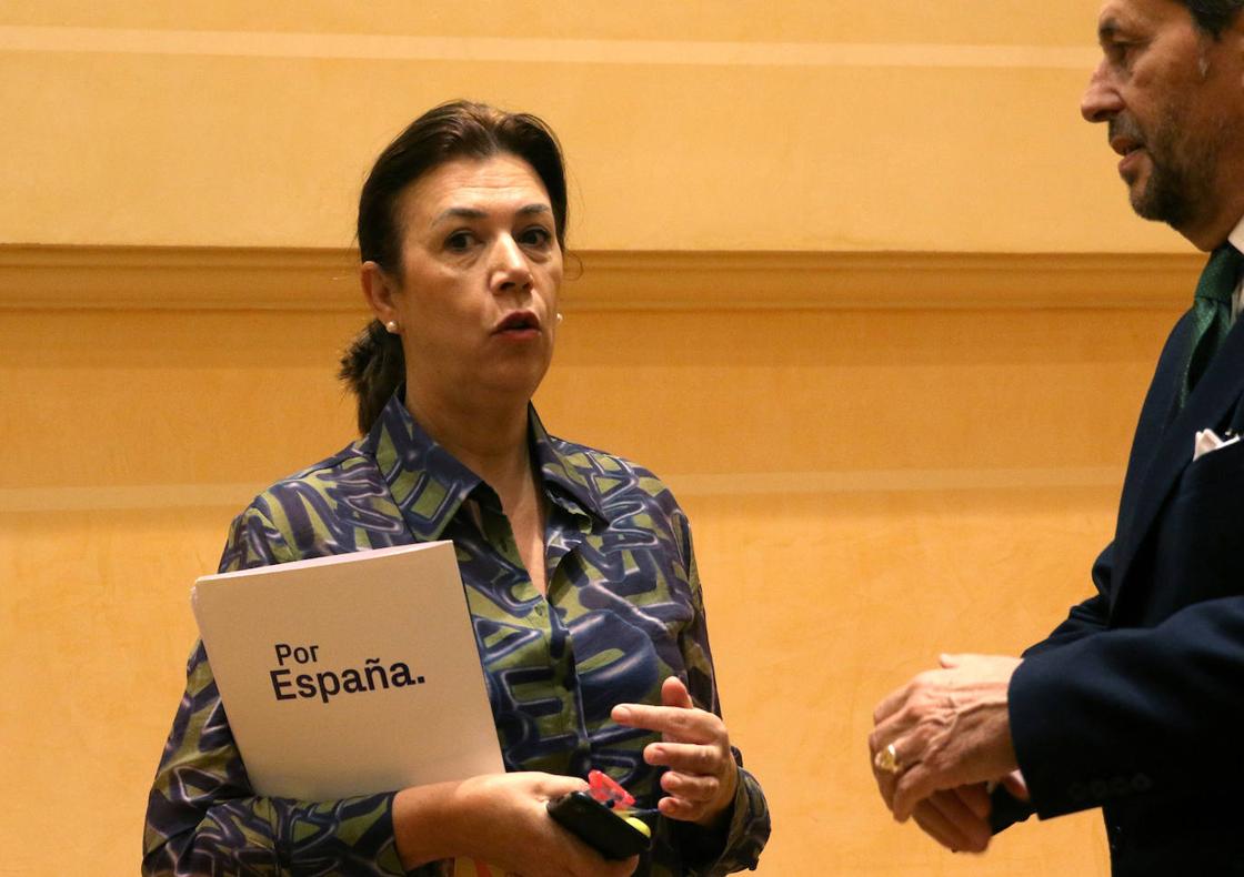 El pleno en imágenes