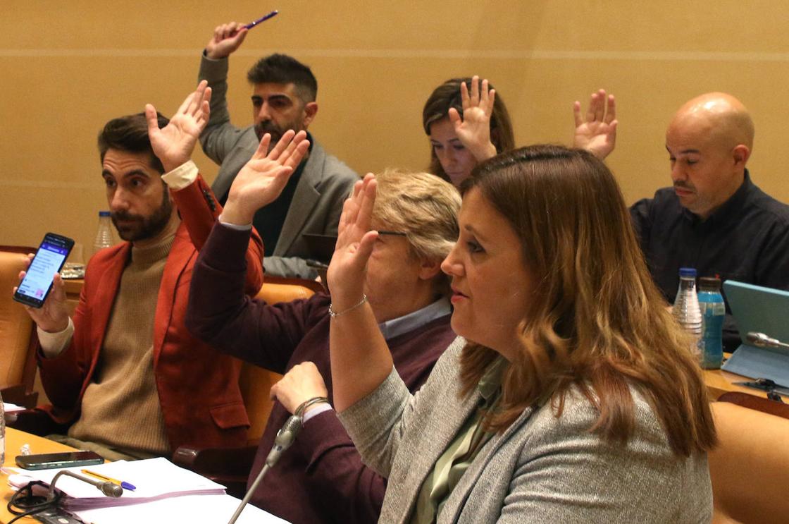 El pleno en imágenes