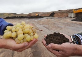 Innovación en la fertilización sostenible