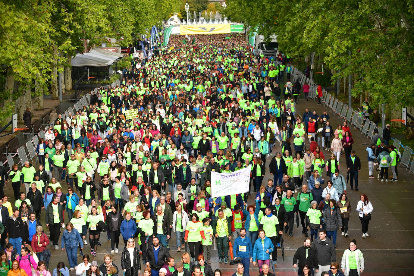 En imágenes, la XII Marcha contra el Cáncer de Valladolid (2/5)