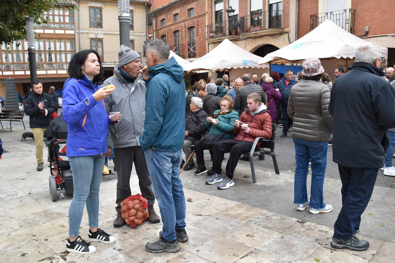 Herrera defiende la calidad de la patata del Boedo-Ojeda