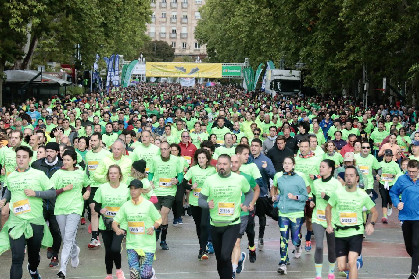 En imágenes, la XII Marcha contra el Cáncer de Valladolid (4/5)