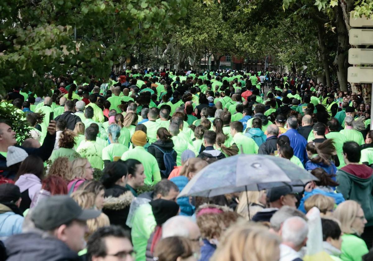 En imágenes, la XII Marcha contra el Cáncer de Valladolid (4/5)