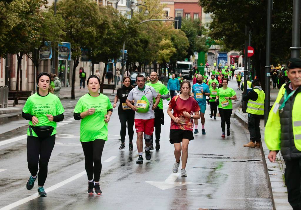 En imágenes, la XII Marcha contra el Cáncer de Valladolid (1/5)