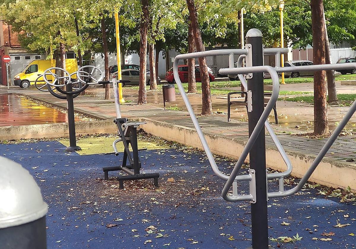 Un parque biosaludable de Palencia.