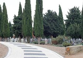 Jardines y arbolado en uno de los paseos del cementerio.