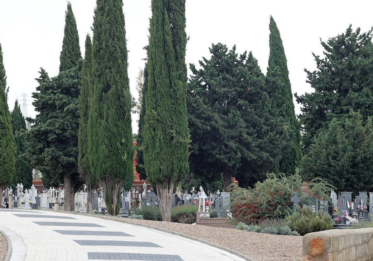 Jardines y arbolado en uno de los paseos del cementerio.