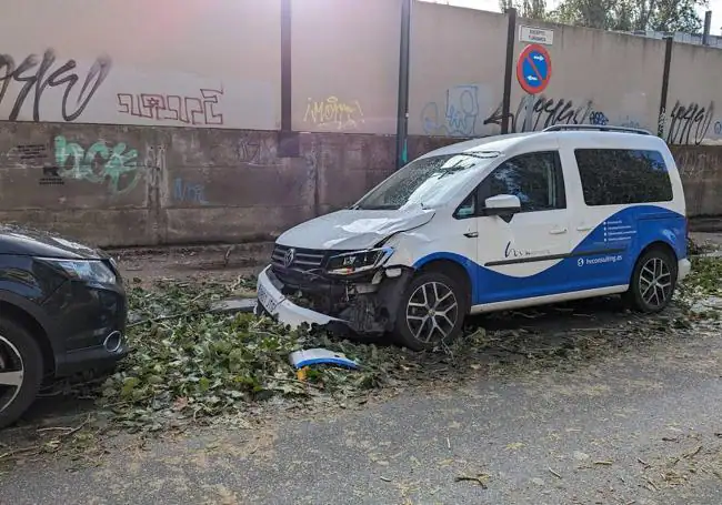 Un vehículo dañado tras ser golpeado por un árbol arrastrado por el viento en la avenida de Irún.