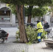 El temporal deja una mujer herida, decenas de ramas caídas y apagones