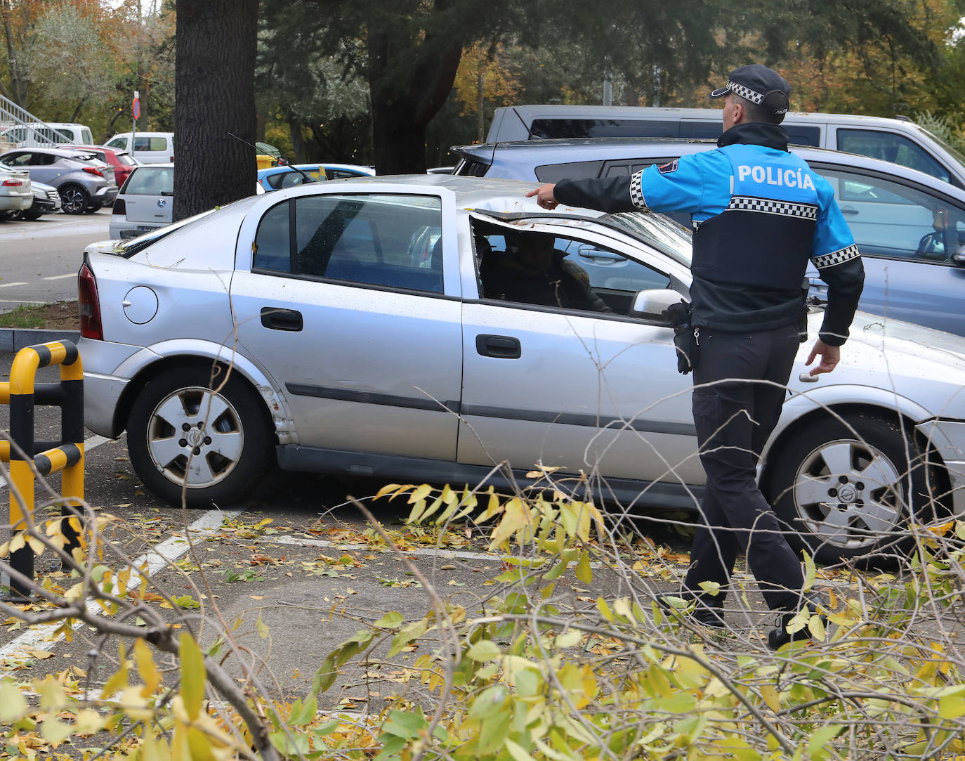 Los efectos de las intensas rachas de viento en Palencia