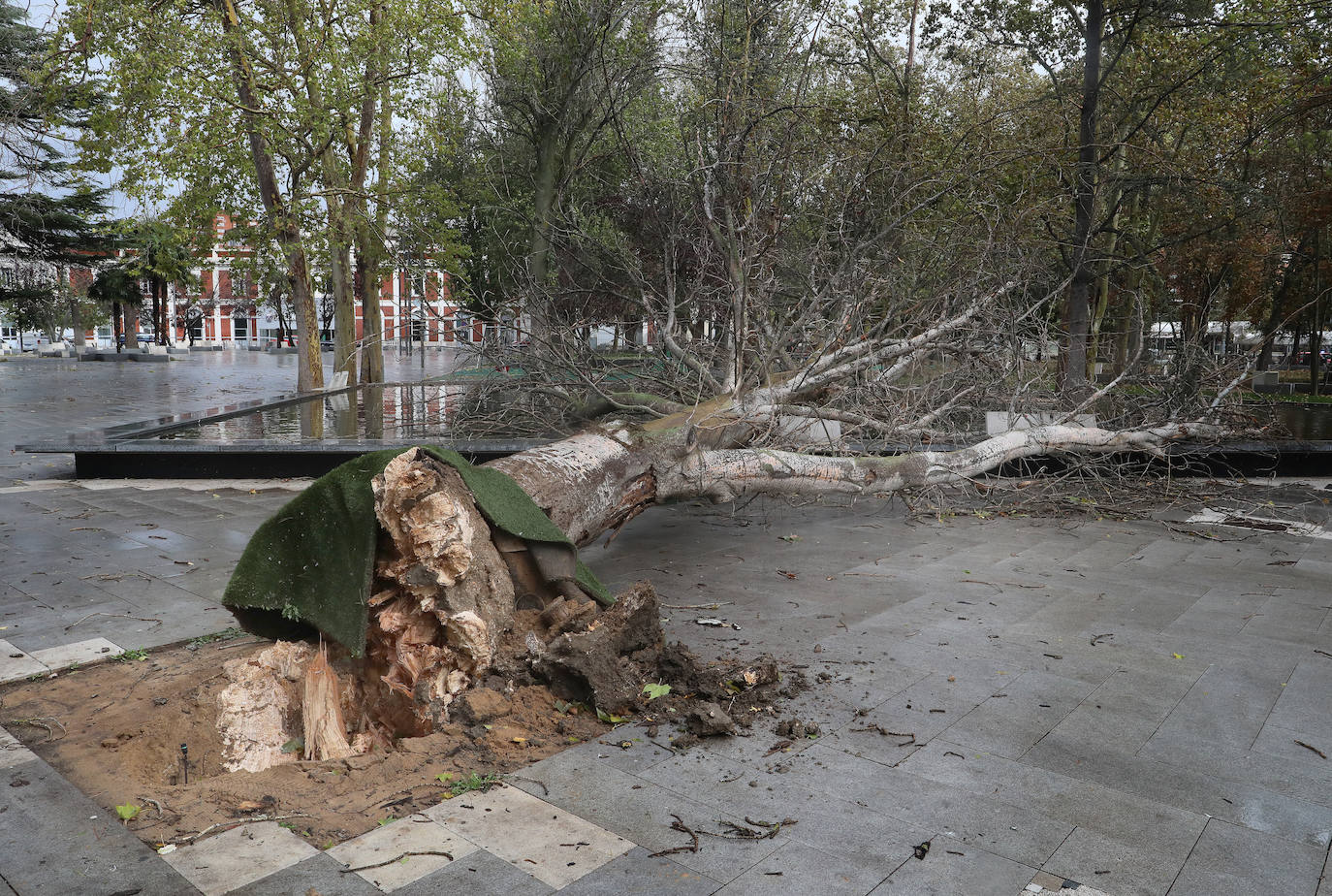 Los efectos de las borrascas Domingos y Ciarán en España, en imágenes