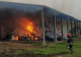 Labores de extinción en la explotación de Caleruega en la que murieron 700 ovejas.