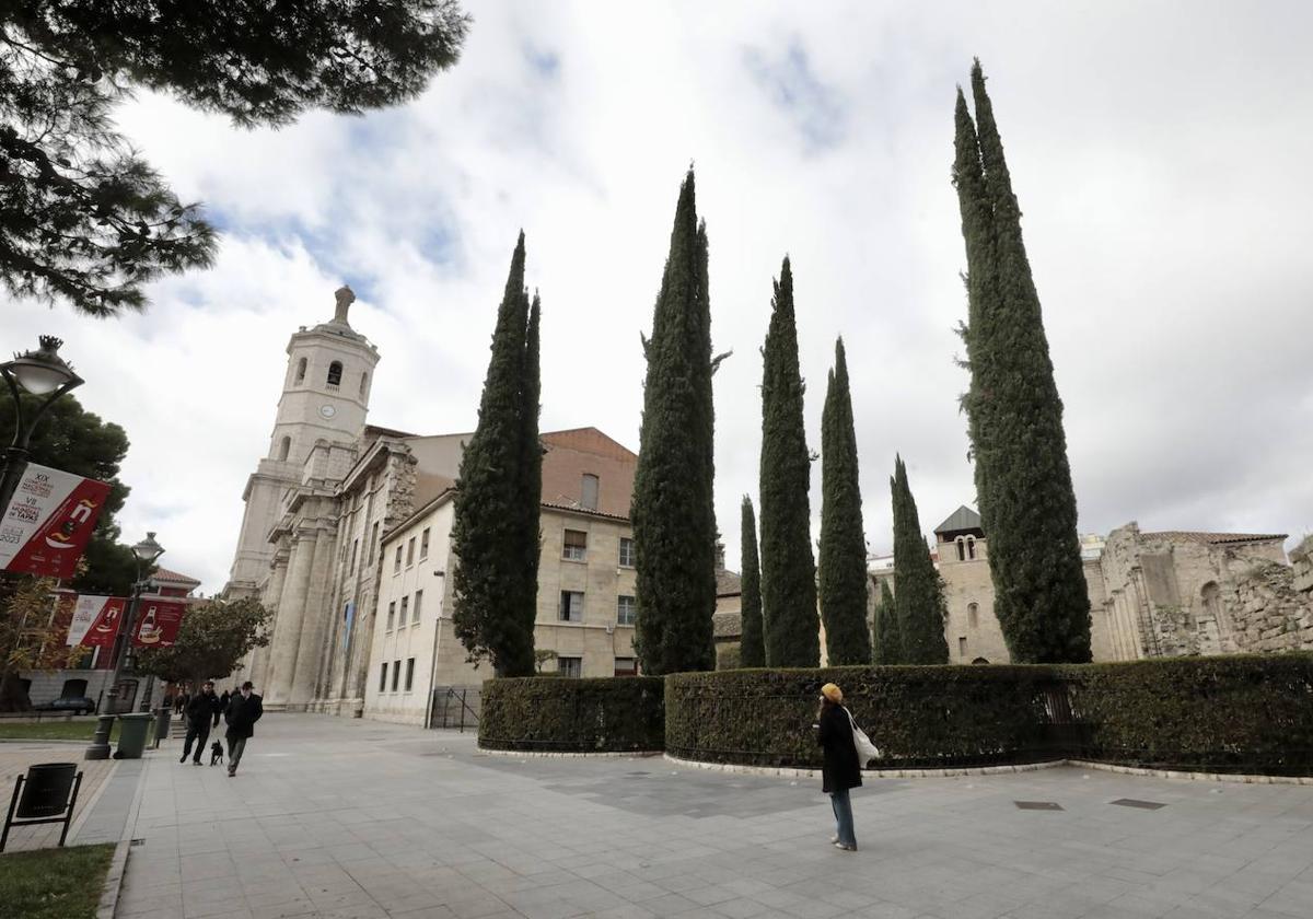 En imágenes, la rehabilitación del patio de los cipreses en la Catedral de Valladolid