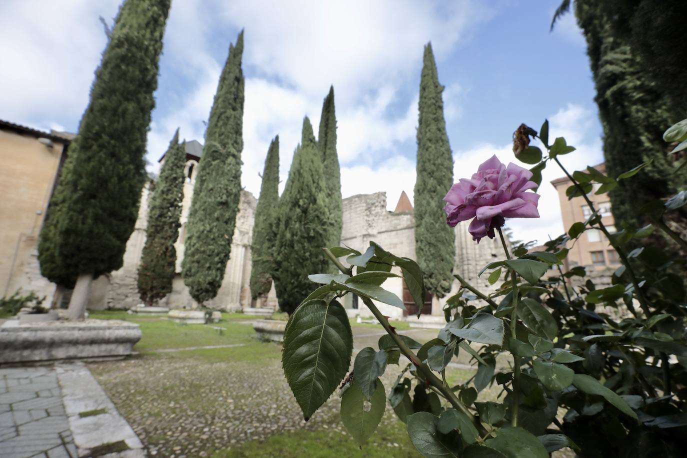 En imágenes, la rehabilitación del patio de los cipreses en la Catedral de Valladolid