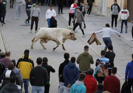 Uno de los momentos del encierro vespertino celebrado este sábado en Traspinedo.