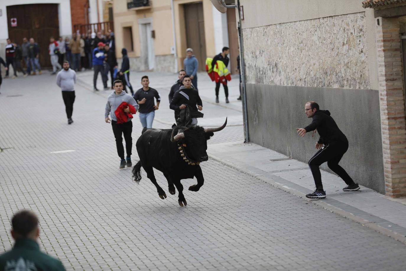 El encierro de Traspinedo, en imágenes