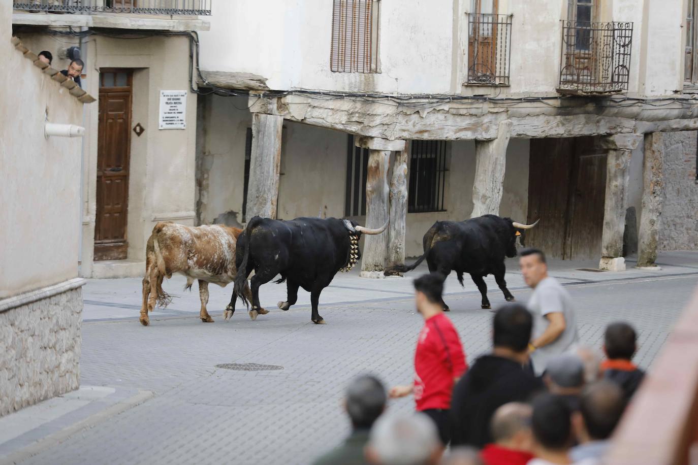 El encierro de Traspinedo, en imágenes