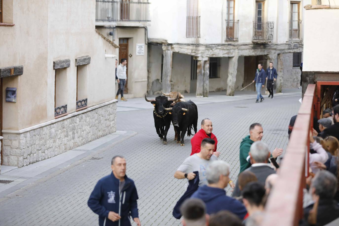 El encierro de Traspinedo, en imágenes