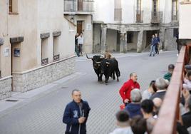 El encierro de Traspinedo, en imágenes