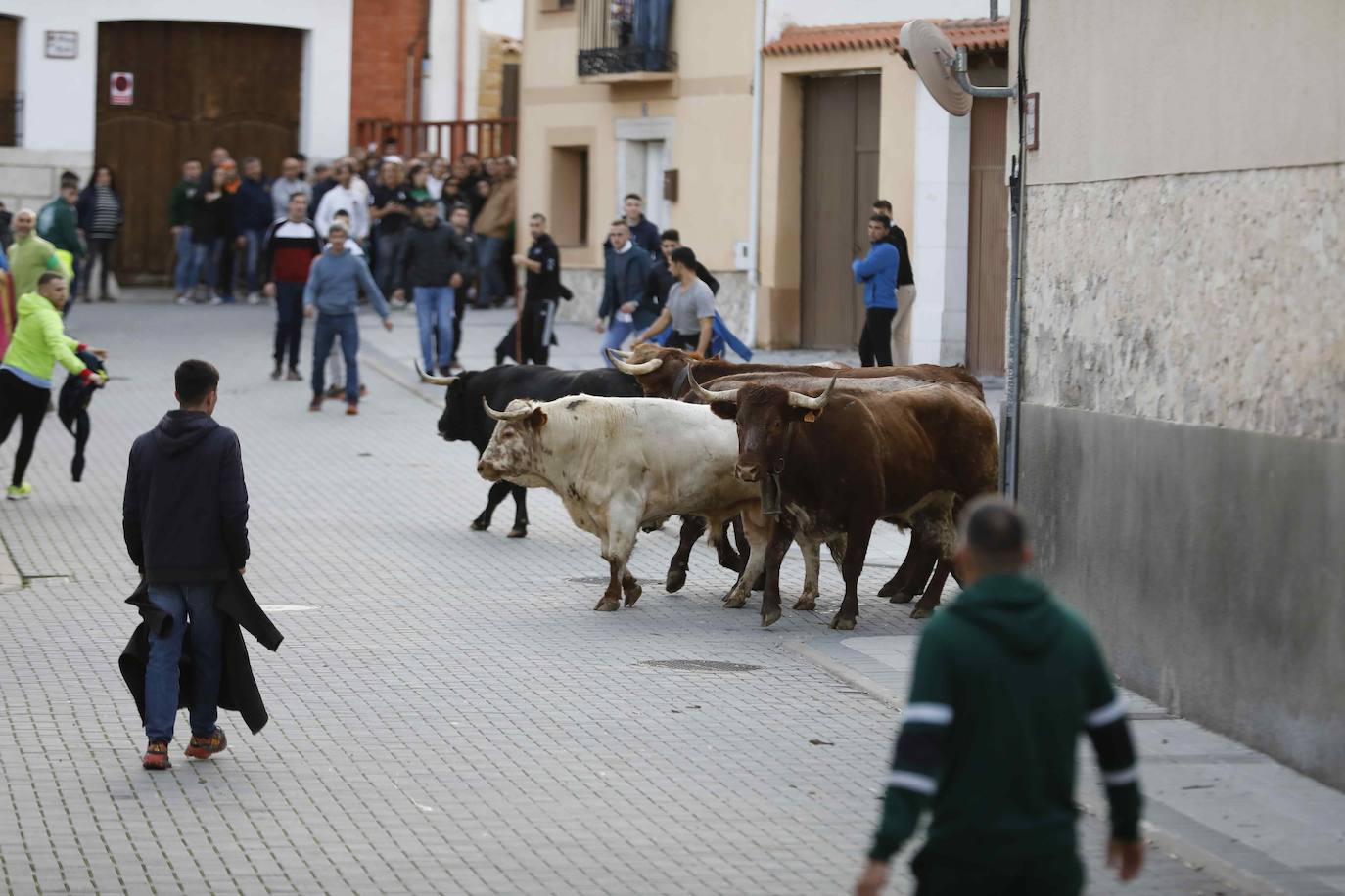 El encierro de Traspinedo, en imágenes