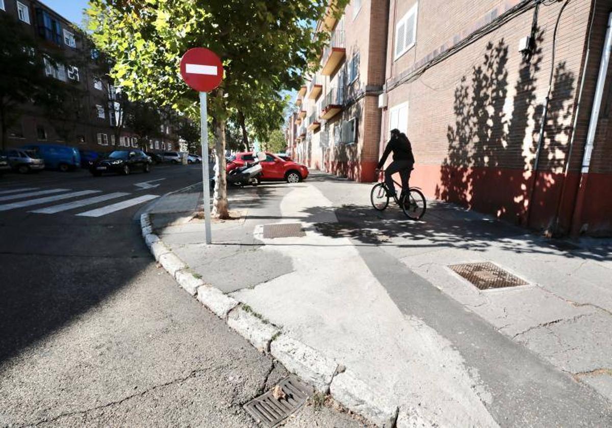 Avenida de los Reyes Católicos en Valladolid.