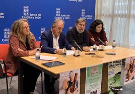 La gerente de Servicios Sociales, a la izquierda, con el delegado de la Junta, el presidente de ARPA y la diputada de Juventud, Mujer, Familia e Infancia, este lunes en la delegación de la Junta.