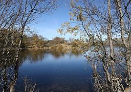 Estado actual del embalse del Pontón Alto