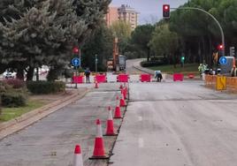 Nueva distribución, desde el lunes, de los cortes en la glorieta de Padre José Acosta.