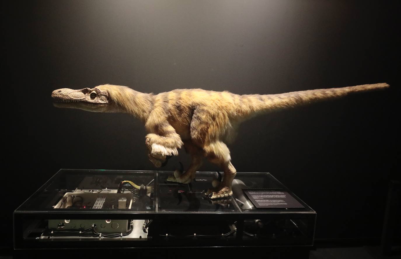 La exposición de robots del Museo de la Ciencia, en imágenes