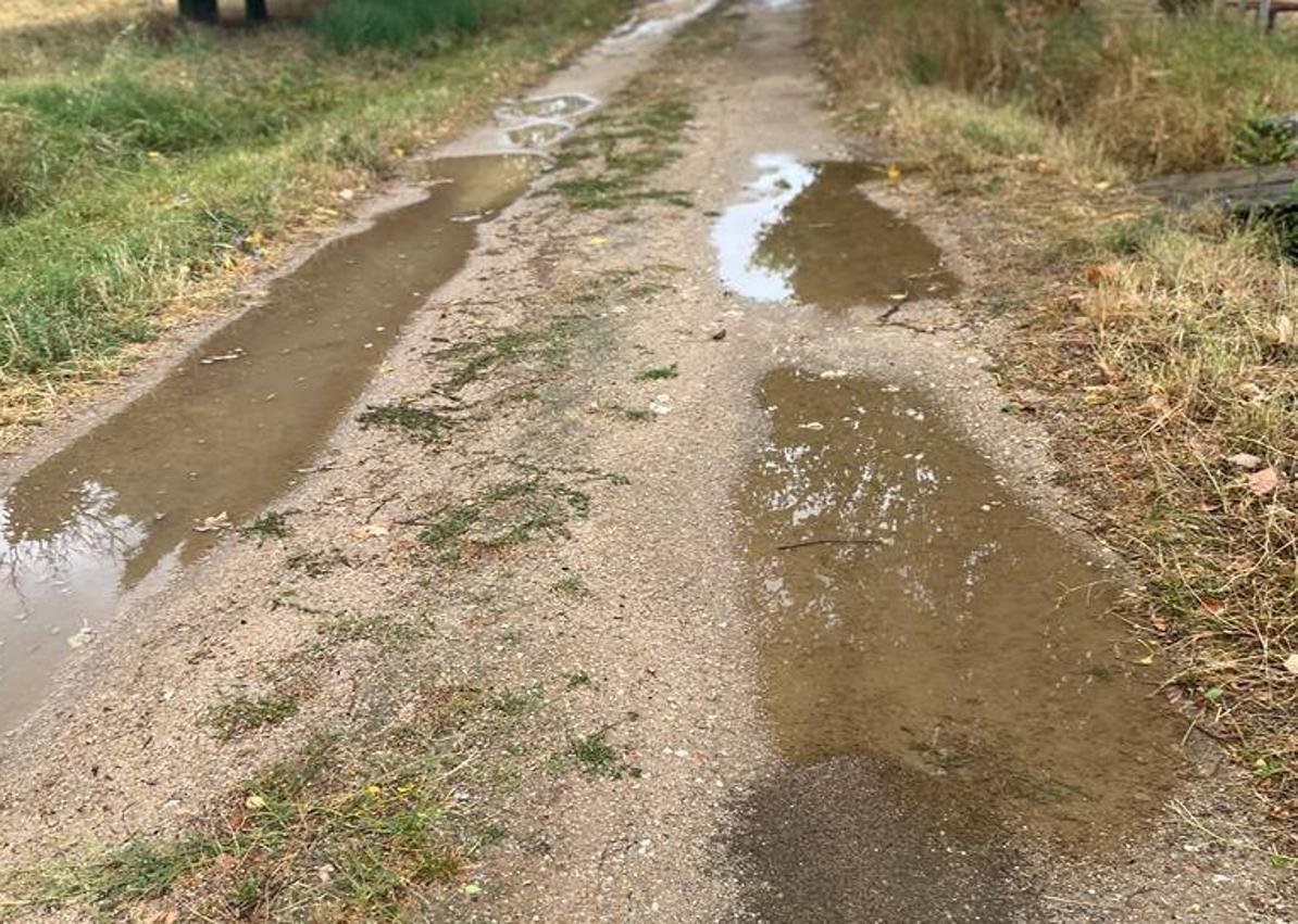 Imagen secundaria 1 - Caminos de Tanarro, antes y después de las precipitaciones de los últimos meses.