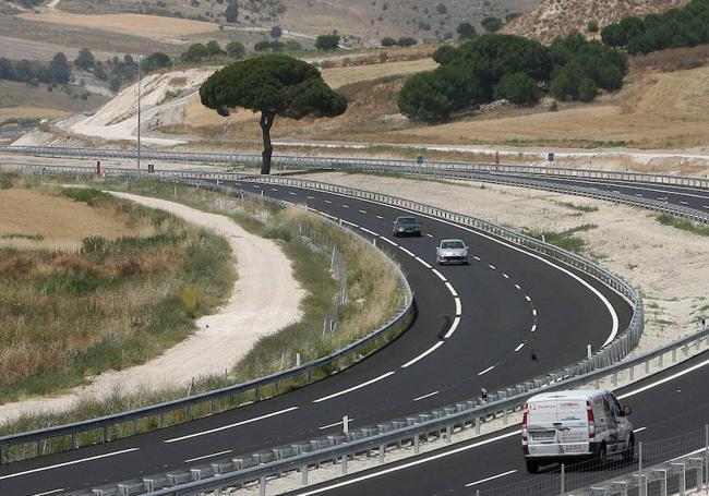 Este pino fue indultado y se encuentra en la mediana de la autovía