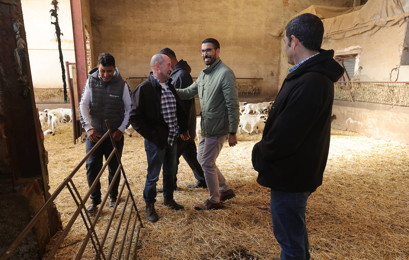 Un proyecto para que pastores saharauis trabajen en explotaciones ovinas de Palencia