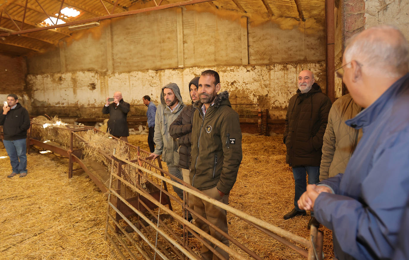 Un proyecto para que pastores saharauis trabajen en explotaciones ovinas de Palencia