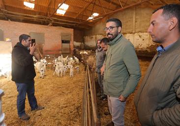 Las explotaciones de oveja churra pierden profesionales y caen el 28% en cinco años