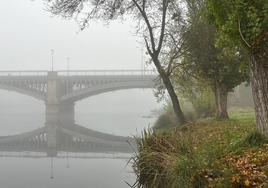 La zona donde ha sido hallado el cadáver.