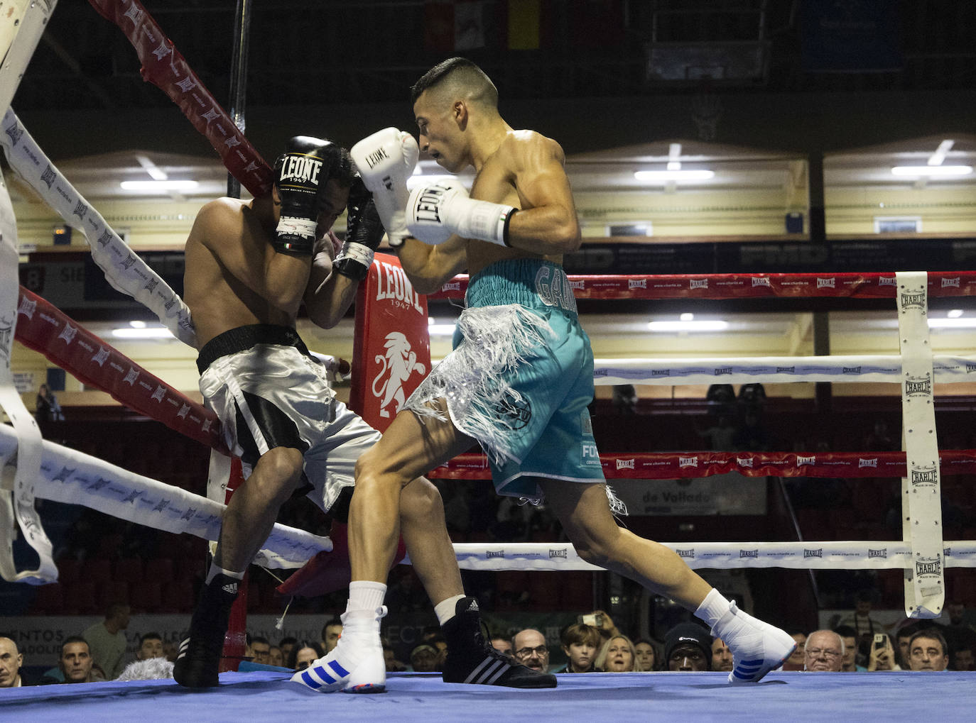 Imágenes del combate que ha dejado a Salvi sin el cinturón europeo