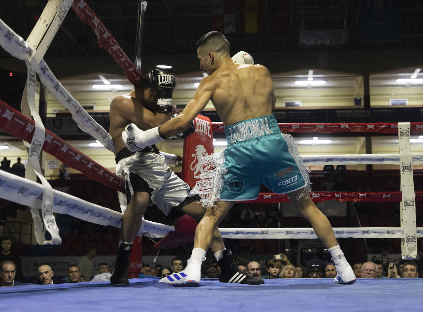 Imágenes del combate que ha dejado a Salvi sin el cinturón europeo