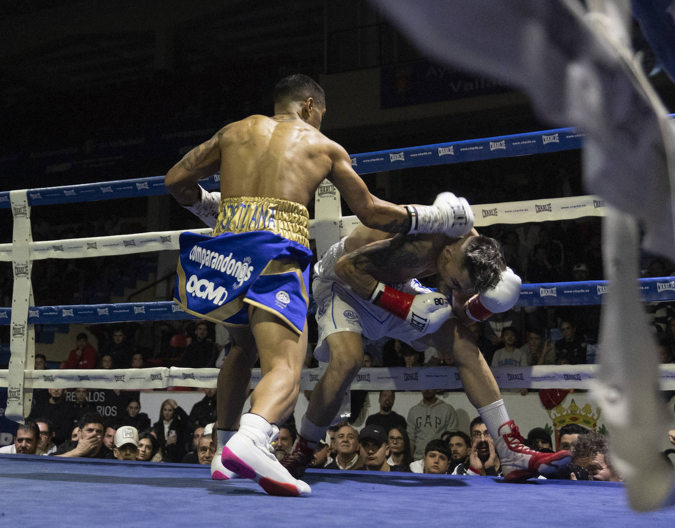 Imágenes del combate que ha dejado a Salvi sin el cinturón europeo