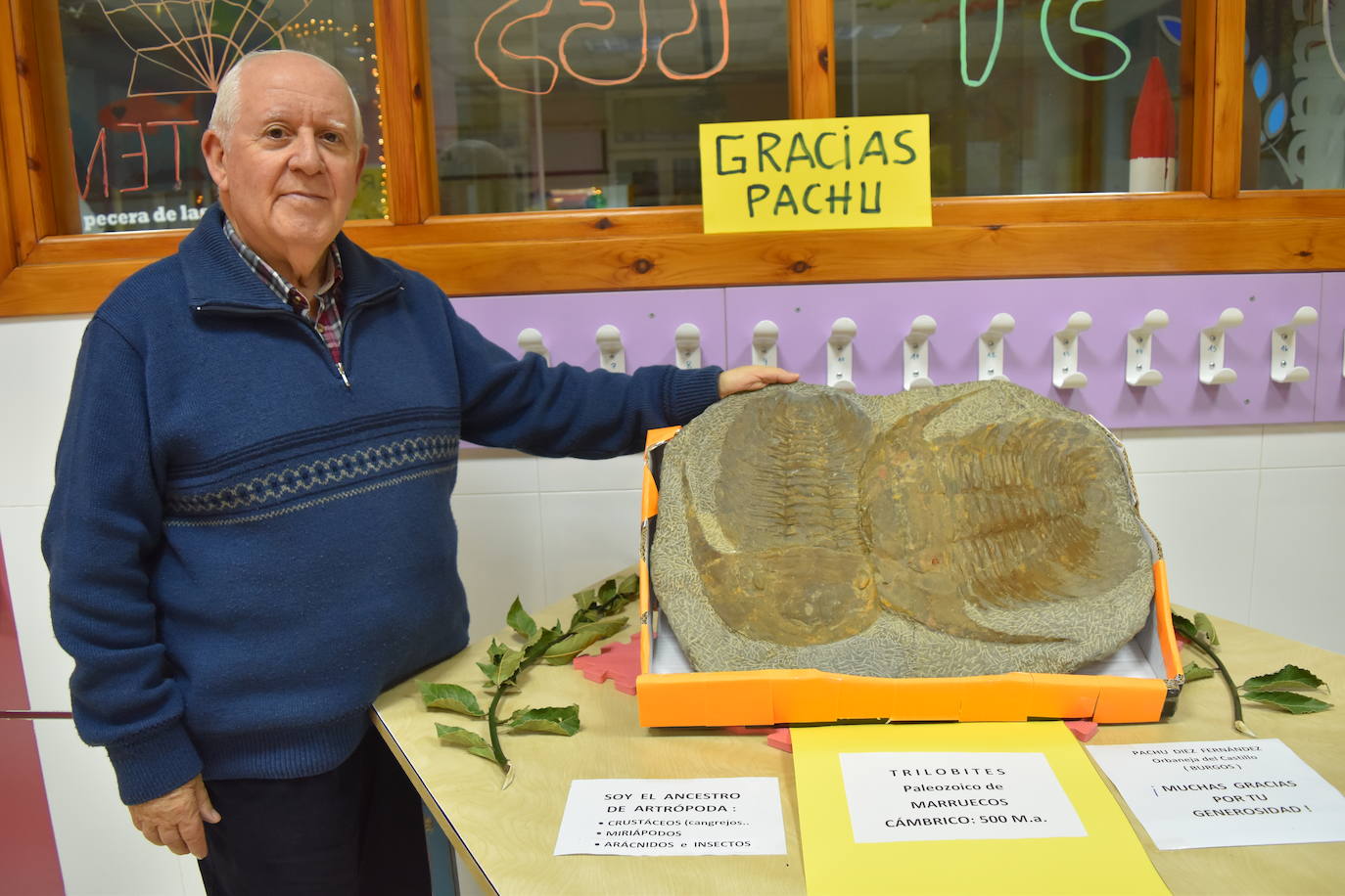 Exposición de fósiles en Aguilar de Campoo