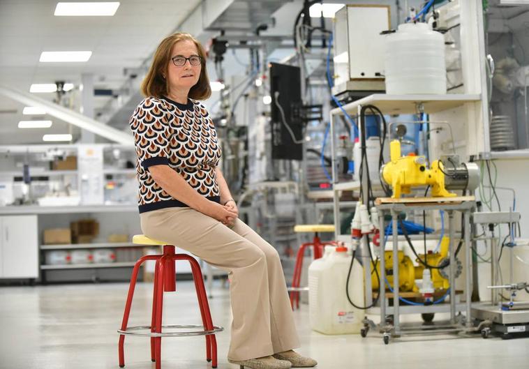 La profesora María José Cocero, en un laboratorio de su departamento universitario.