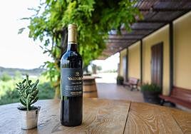 Botella de Valdubón Crianza.