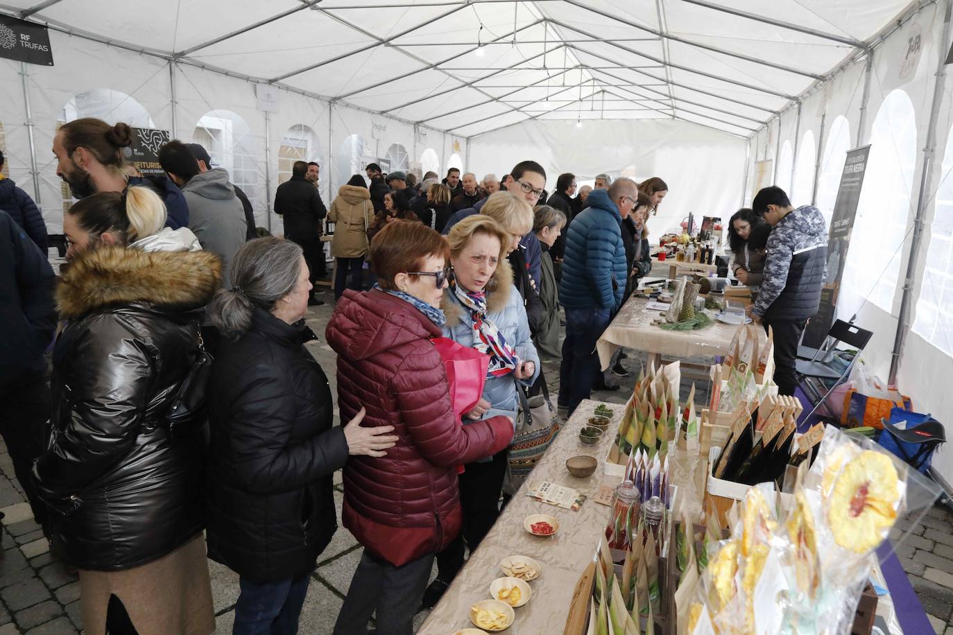 La III Feria de la Trufa de Cogeces del Monte, en imágenes