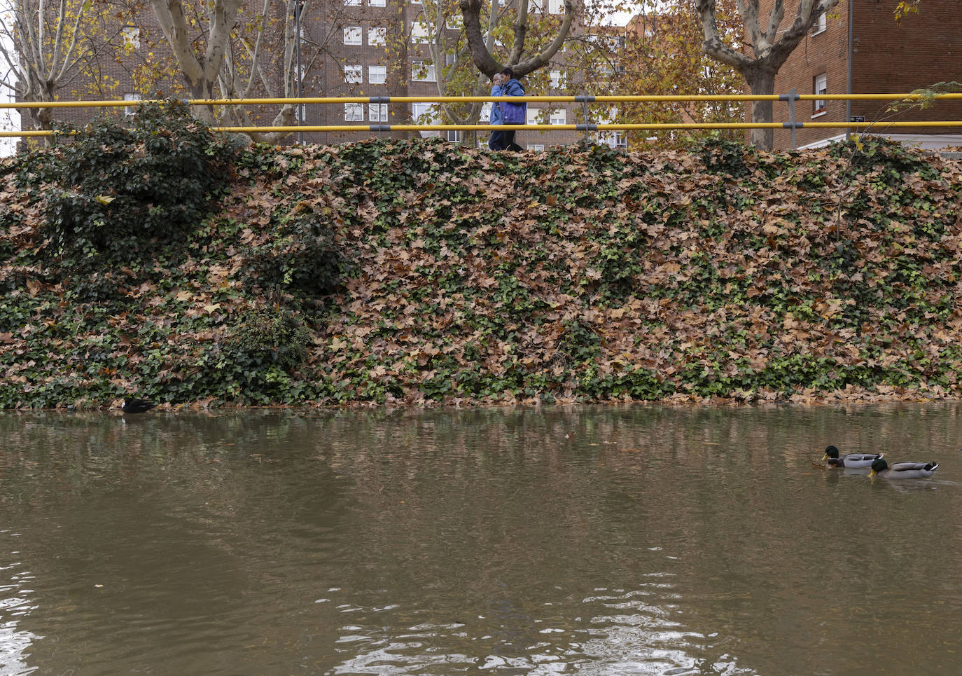 Crecida del río Esgueva por el paseo del Cauce