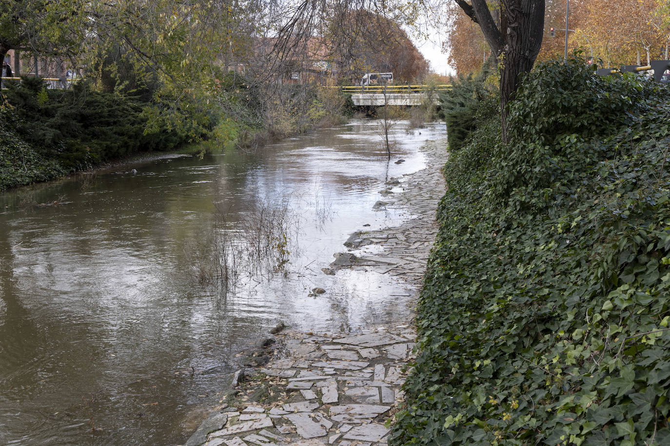 Crecida del río Esgueva por el paseo del Cauce