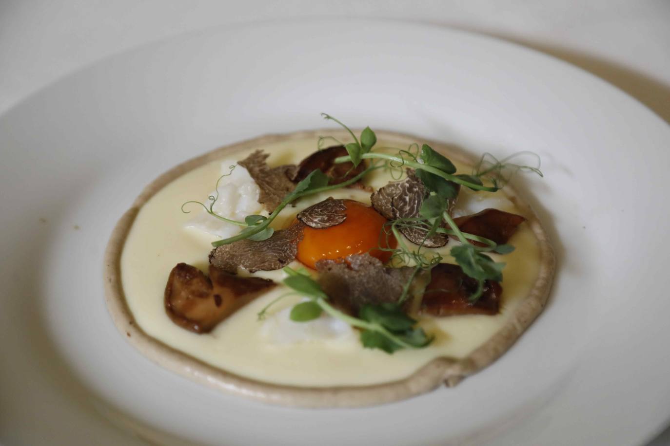 Concurso Nacional de Trufa Negra de Cogeces del Monte