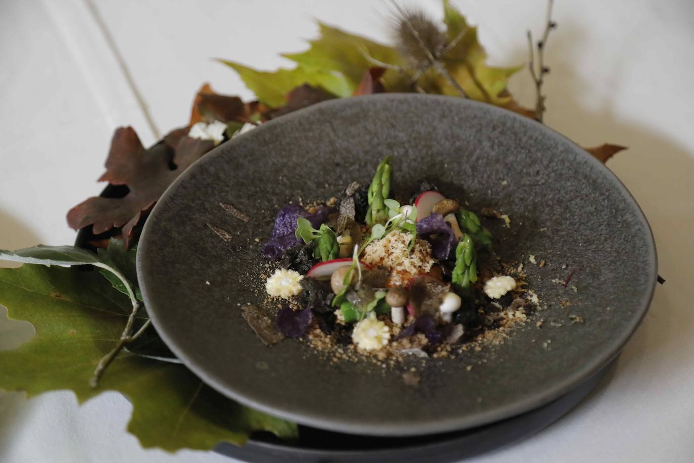 Concurso Nacional de Trufa Negra de Cogeces del Monte